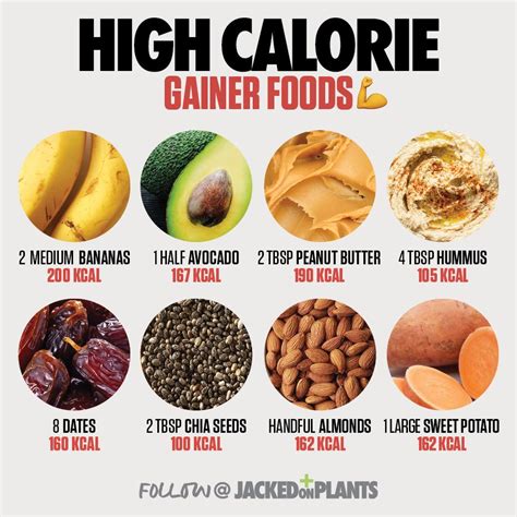 High Calorie Foods For Weight Gain Uk | Blog Dandk