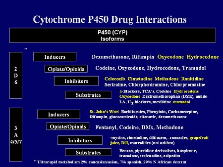 Breakthrough Pain: Treatment Rationale With Opioids