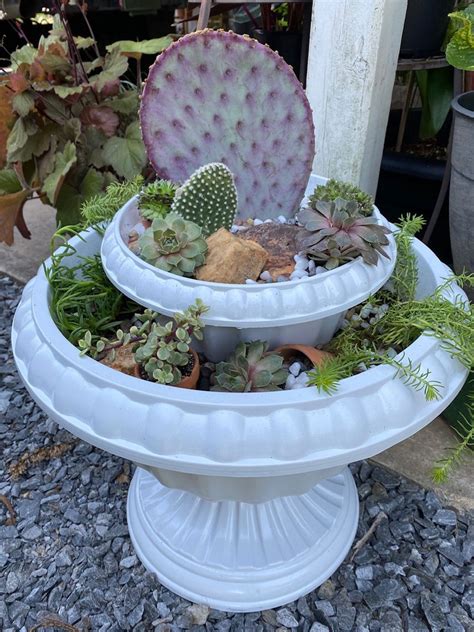 Potted Cactus Outside – Creating A Cactus Garden In Containers