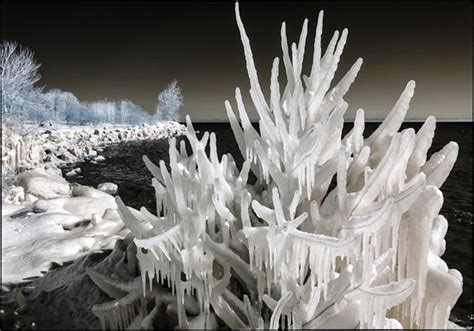 Winter storm leaves behind gorgeous ice formations