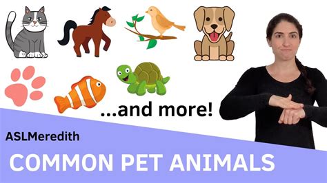 PET vocab - YouTube