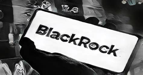 BlackRock faces backlash over ESG policies | Financial News