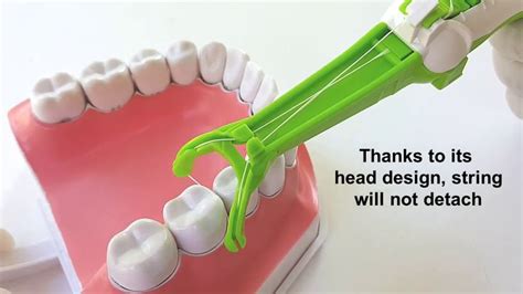 Easy Flosser a new easy way to floss your teeth in 2023 | Flosser, Floss, Teeth