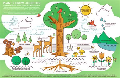 Plant and Grow Together - An Internal Ecosystem - Lemonly Infographics