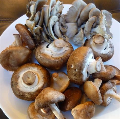 Foods For Long Life: Creamy Vegan Mushroom And Artichoke Soup With Oyster, Crimini And Shiitake ...