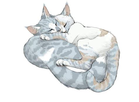 Cats Cuddling Drawing Reference Stroking adoptable cats at a shelter or ...