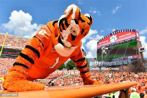 Clemson Mascot Photos and Premium High Res Pictures - Getty Images