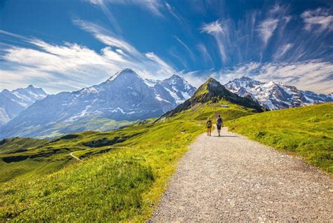 7 Reasons Why You Should Go to the Swiss Alps This Summer – Swiss Alps ...