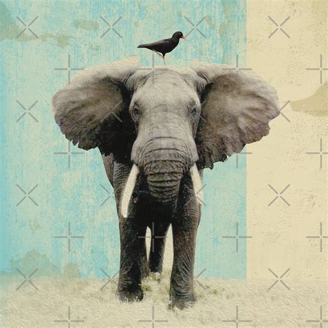 "friends for life - elephant and a black bird" by Vin Zzep | Redbubble