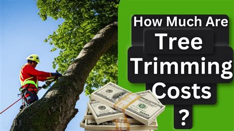 🌳How Much Does Tree Trimming Cost? Find out!🤑 - YouTube