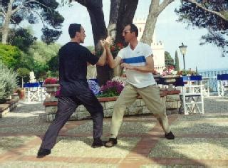 Picture Series: Techniques and Skills of Taijiquan Pushing Hands part 6