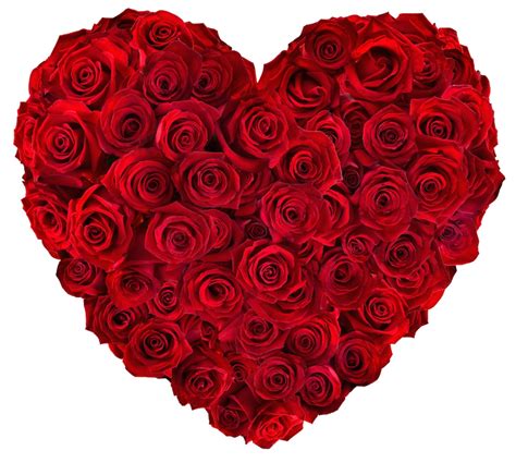 Buy Heart Shaped Roses Arrangement Online at Best Price | Od