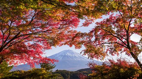 Japan Fall Foliage Private Tour - Kipling & Clark