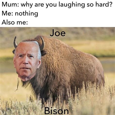 One true bison : r/memes