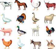 17 Realistic Animal Icons Images - Small Animal Icons, Object Icons ...