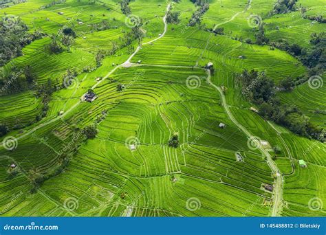 Aerial View of Rice Terraces. Landscape with Drone. Agricultural Landscape from the Air. Rice ...