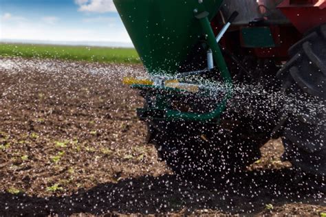 Spreading Fertilizer Stock Photo - Download Image Now - iStock