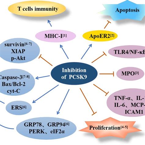 Structure of PCSK9 (aa 1 ~ 692) (Built by... | Download Scientific Diagram