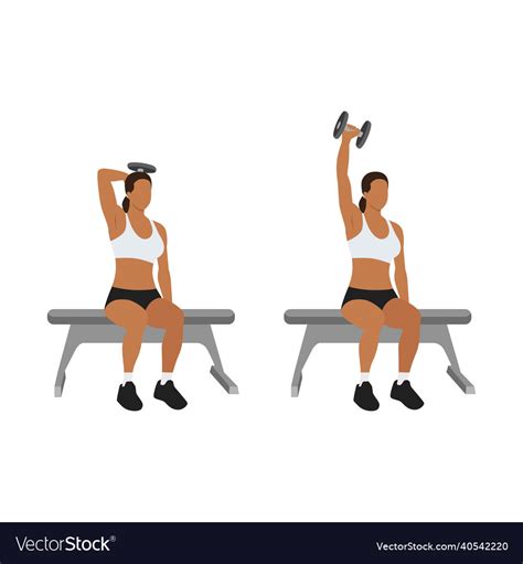 Single arm overhead dumbbell tricep extensions Vector Image