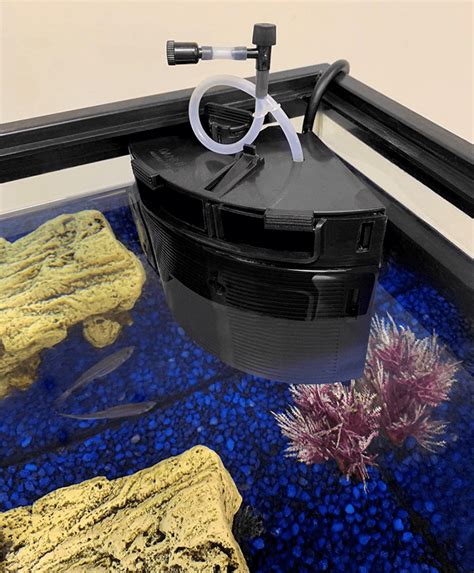 Best Submersible Fish Tank Filters - Aquarium Dimensions