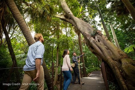 Aboriginal Heritage Walk | YHA Travel