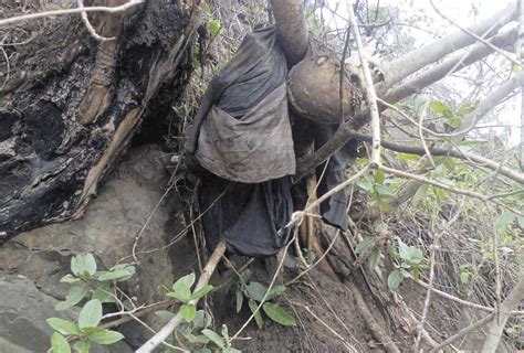 Human Skeleton Found Hanging From Roots Of Toppled Tree