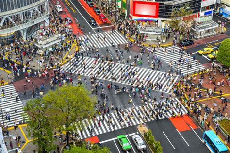 Shinjuku Shopping Guide - Tourist Japan