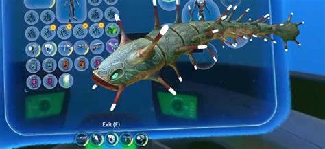 Where to get Stasis Rifle Fragments in Subnautica