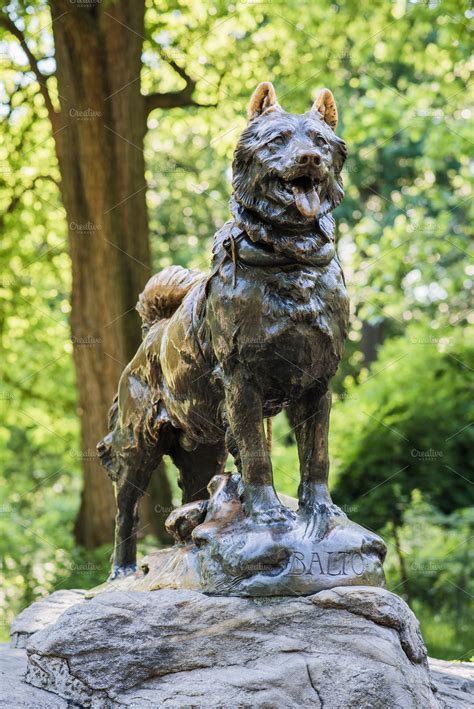 Balto statue in central park containing balto, central park, and park | Architecture Stock ...