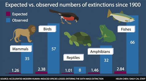 Study Identifies 6th Mass Extinction Event, Lists Human Activity as ...