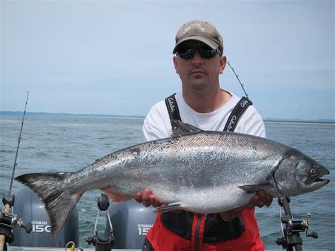 Todds Extreme Fishing: Ilwaco salmon