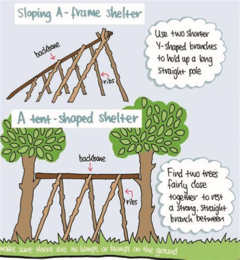 What Makes A Good Survival Shelter? | A Guide to Natural Shelters ...