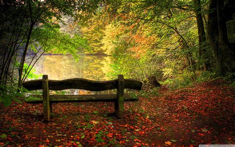 Autumn Free Wallpaper - Empty Bench In Fall Scene Wallpapers - HD Wallpapers 93152