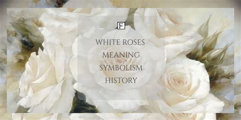 White Roses: Meaning, Symbolism, History - La Fleur De Luxe