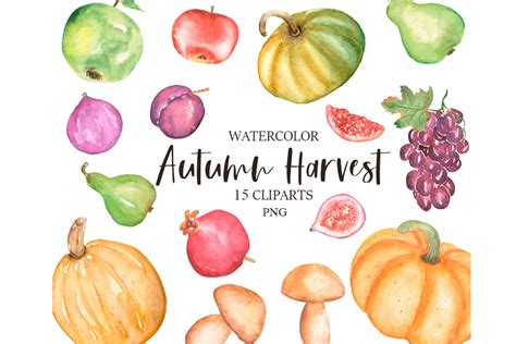 Watercolor Autumn Harvest Set Graphic by Maya Navits · Creative Fabrica