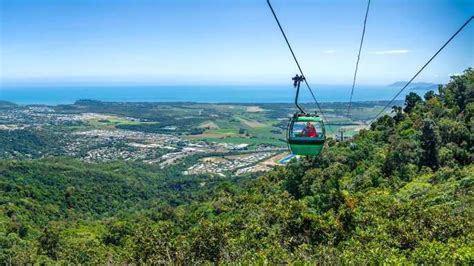 Skyrail Rainforest Cableway, Cairns - Book Tickets & Tours | GetYourGuide.com