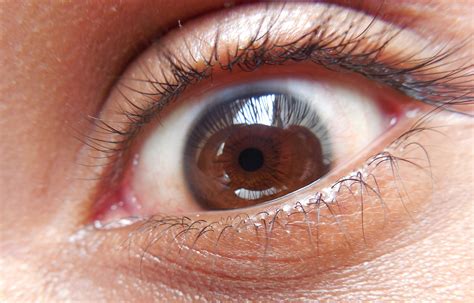 File:The human eye.JPG - Wikimedia Commons