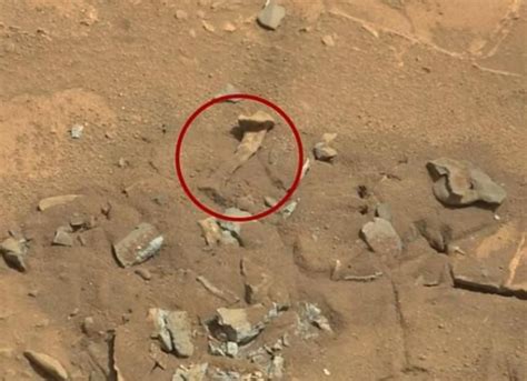 Odd NASA Curiosity Rover photos restart life on Mars debate ...