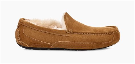 Ascot Slipper | UGG