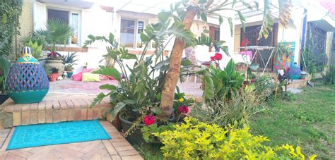 Lovely backyard in Egypt! Oriental flowerful and colorful terrace make ...