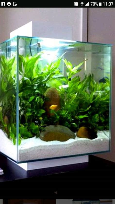 fluval edge 46l fish tank | in Kearsley, Manchester | Gumtree