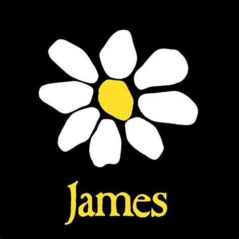 James (Band) James Band, Tim Booth, Uk Singles Chart, Try To Remember ...