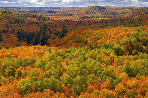 10 Tips for Shooting Autumn Foliage | Nikon