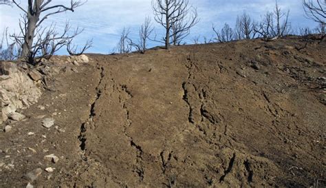 US Loses $44 Billion to Soil Erosion - California Ag Network