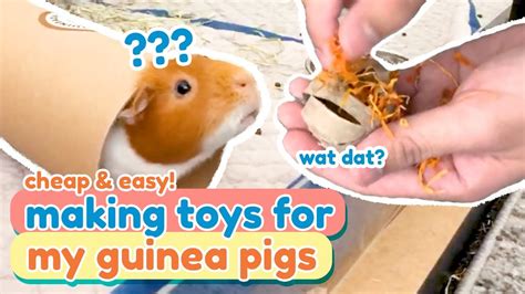 Quick, Cheap, & Easy DIY Guinea Pig Toys | GuineaDad - YouTube