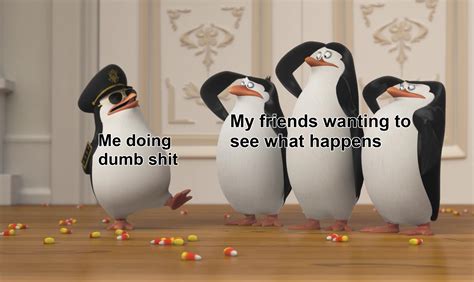 Penguin formats aren't dead. : r/memes