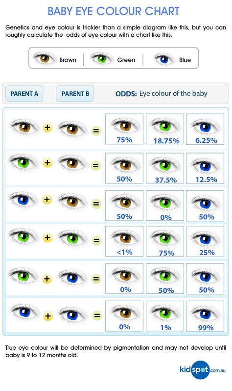 analyzing eye color genetics chart and what you need to know - analyzing eye color genetics ...