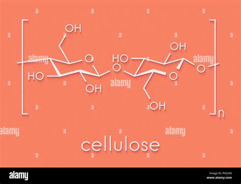 Cellulase hi-res stock photography and images - Alamy
