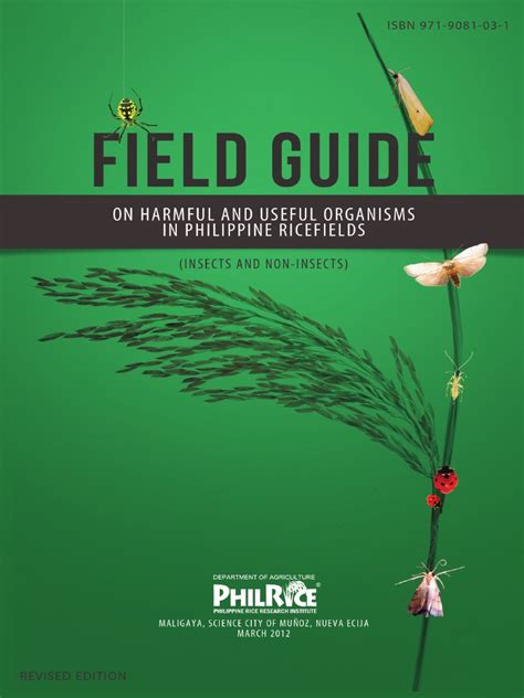 Field Guide On Harmful and Useful Organisms in Philippine Ricefields | PDF | Pupa | Rice