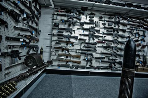 Firearms Every Beginning Gun Owner Should Have | Can You Believe That Guy?!